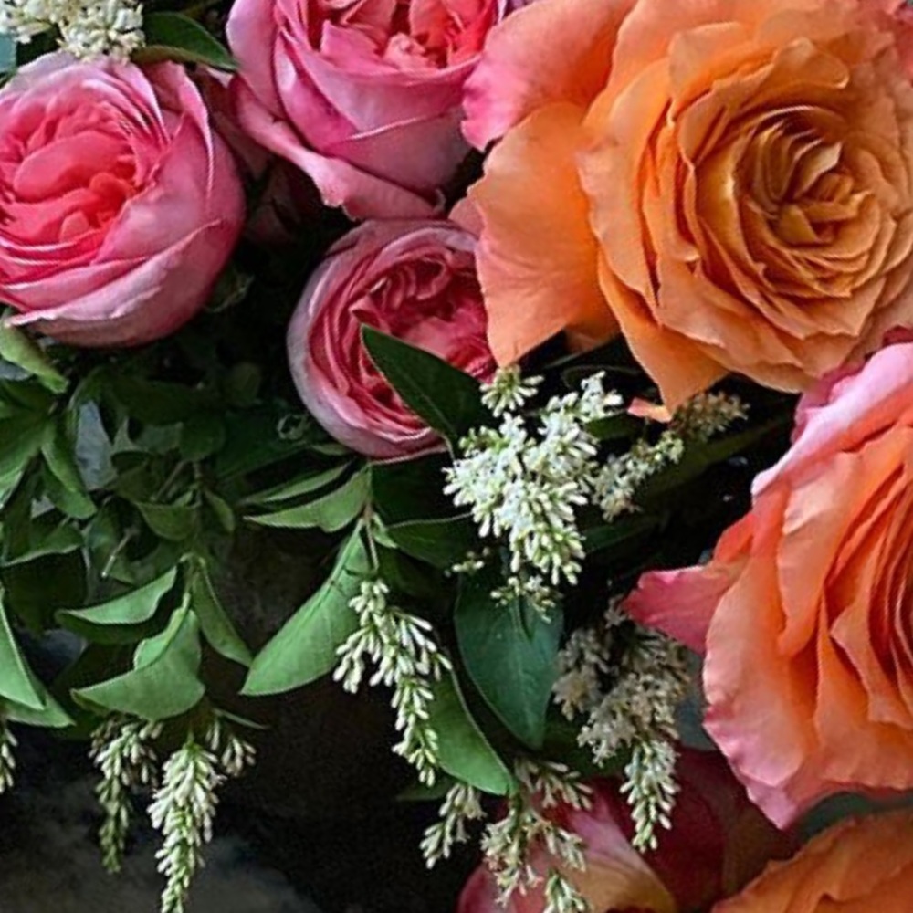 Meet your Posher, Grace